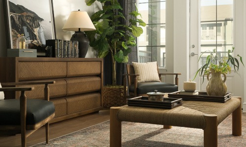 Bright living room in 1 bedroom apartment at The Maris apartments in Austin.