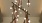 close up of chandelier